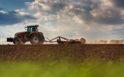 ¿Cómo convertirse en un Agricultor Exitoso?