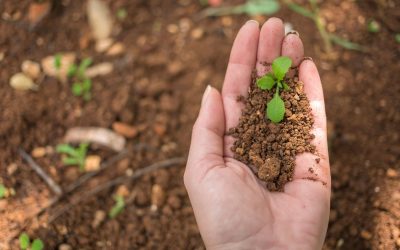 Contribuyendo a la Conservación de la Biodiversidad en Costa Rica