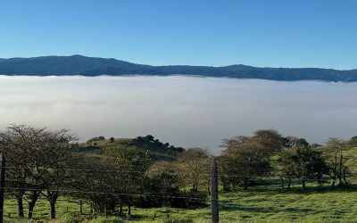 Buzón de sugerencias