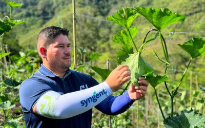 Cómo proteger tus plantas de las infecciones bacterianas en temporadas de lluvias y calor
